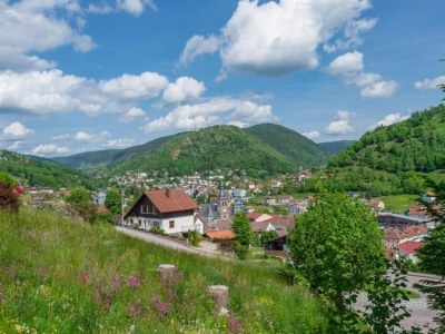 Chalet Chalet in La Bresse nahe Wald & See - Environment photo 30