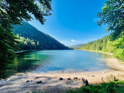 Chalet Chalet in La Bresse nahe Wald & See - Environment photo 34