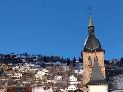 Chalet Chalet in Lotharingen near Forest & Ski Lift - Environment photo 28