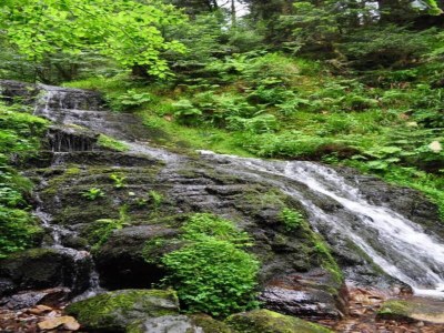 Chalet Chalet in Lotharingen near Forest & Ski Lift - Environment photo 30