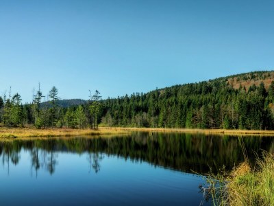 Chalet Chalet in Lotharingen near Forest & Ski Lift - Environment photo 34