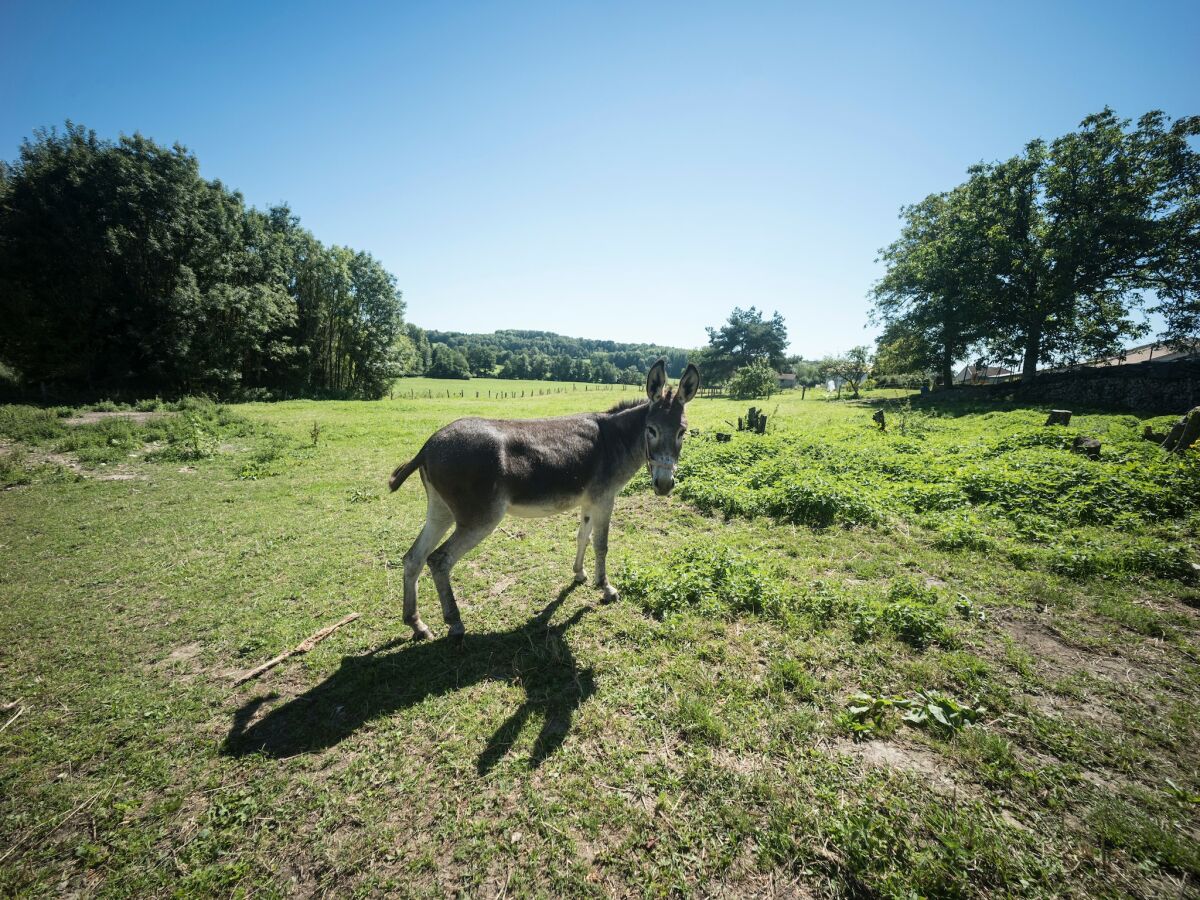 Apartment Wohnung in Darney mit Wiesenblick - Outdoor photo 2