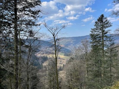 Apartment Wohnung in Darney mit Wiesenblick - Environment photo 30