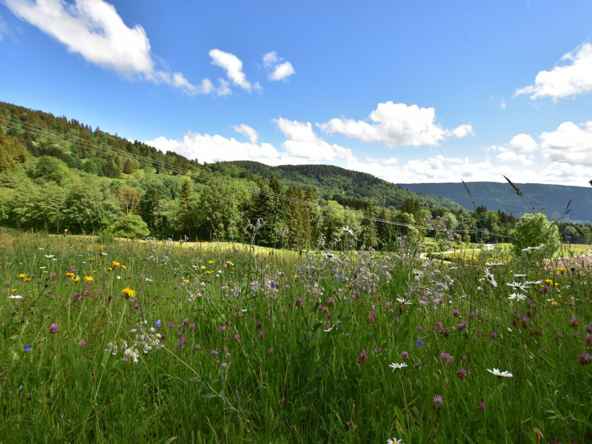 Chalet Chalet in Saulxures nahe Skigebieten - Outdoor photo 3