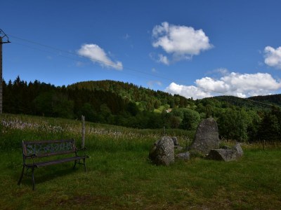 Chalet Chalet in Saulxures nahe Skigebieten - Outdoor photo 13