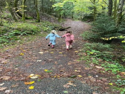 Chalet Chalet in Saulxures nahe Skigebieten - Environment photo 29