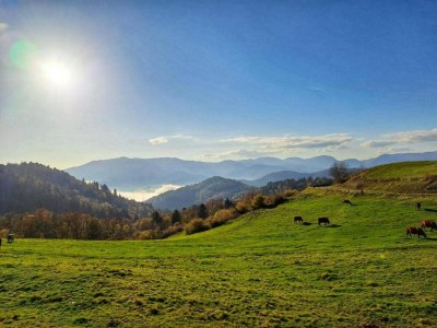 Chalet Chalet in Saulxures nahe Skigebieten - Environment photo 33