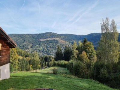 Chalet Chalet in Saulxures nahe Skigebieten - Environment photo 35