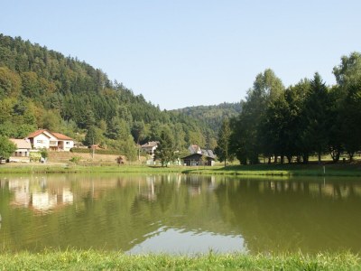 Chalet Chalet in Ventron near Ski Lift - Environment photo 30