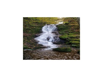 Chalet Chalet in Ventron near Ski Lift - Environment photo 31