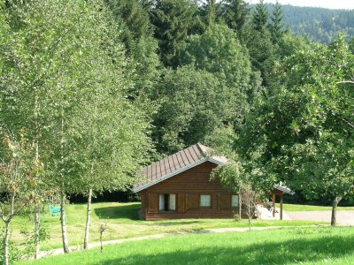 Chalet Ventron Chalet with Hill Views - Outdoor photo 4