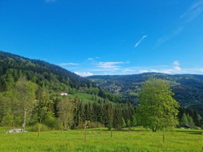 Chalet Ventron Chalet with Hill Views - Environment photo 35