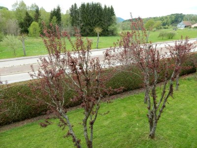 Chalet Chalet in Gerardmer near Ski Slopes - Outdoor photo 10