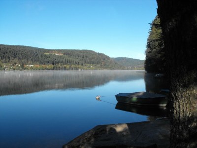 Chalet Chalet in Gerardmer near Ski Slopes - Environment photo 22