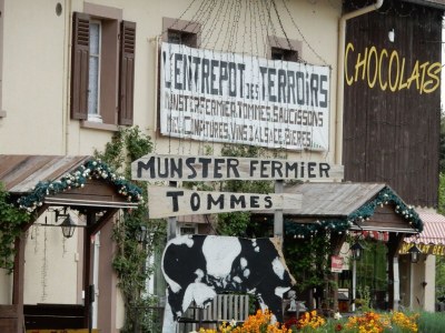 Chalet Chalet in Gerardmer near Ski Slopes - Environment photo 26