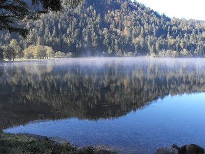 Chalet Chalet in Gerardmer near Ski Slopes - Environment photo 29