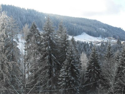 Chalet Chalet in Gerardmer near Ski Slopes - Environment photo 30