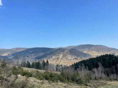 Chalet Chalet in Gerardmer near Ski Slopes - Environment photo 33