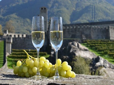 Chalet Chalet in Gerardmer near Ski Slopes - Outdoor photo 37