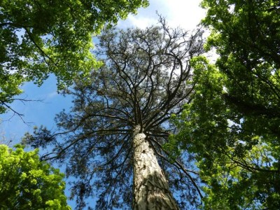 Holiday house Ferienhaus in Diges mit Garten & Radwegen - Environment photo 22