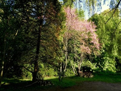 Holiday house Ferienhaus in Diges mit Garten & Radwegen - Environment photo 23