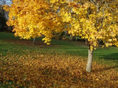 Holiday house Ferienhaus in Diges mit Garten & Radwegen - Environment photo 24