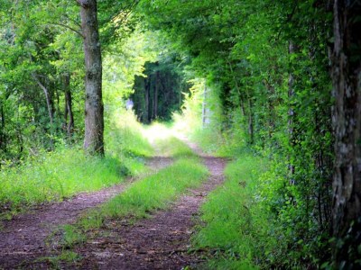 Holiday house Ferienhaus in Diges mit Garten & Radwegen - Environment photo 25