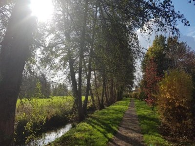 Holiday house Ferienhaus in Diges mit Garten & Radwegen - Environment photo 26