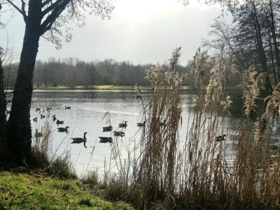 Holiday house Ferienhaus in Diges mit Garten & Radwegen - Environment photo 33