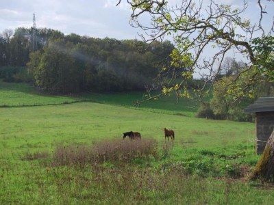 Holiday house Ferienhaus in Diges mit Garten & Radwegen - Environment photo 37