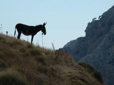 Villa Villa in Makry Gialos nahe Sandstrand - Environment photo 27