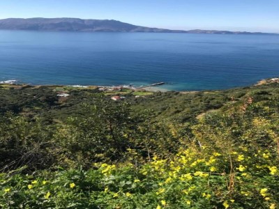 Apartment Wohnung in Ravdoucha mit Meerblick - Environment photo 18