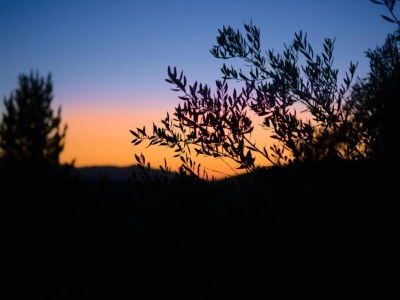 Villa Villa in Kalamitsi bei Weißen Bergen - Environment photo 32