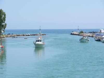 Holiday house Villa auf Kreta mit Weinberg-Erlebnis - Environment photo 27