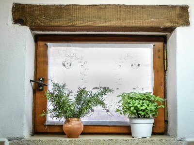 Holiday house Villa auf Kreta mit Weinberg-Erlebnis - Outdoor photo 32