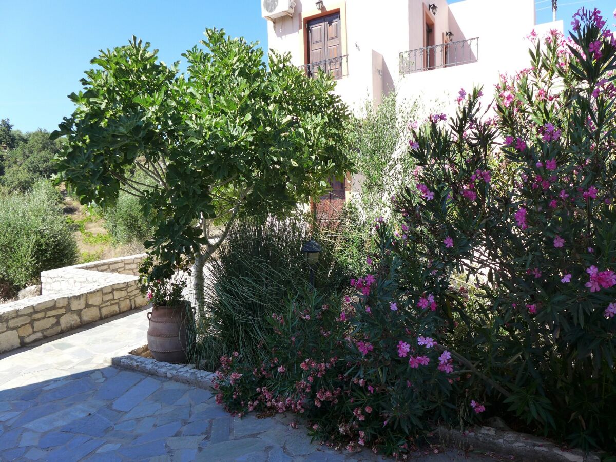 Villa Villa in Axos with Pool near Panormo Beach - Outdoor photo 4