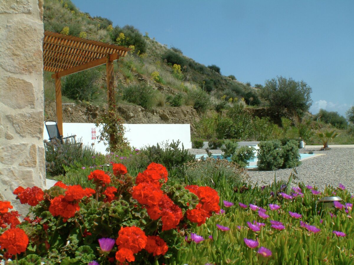Villa Villa in Agia Galini mit Poolblick - Outdoor photo 3