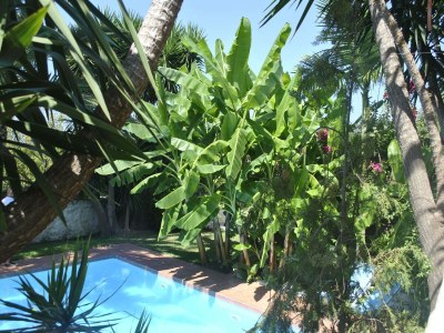 Villa Villa in Giannoudi mit Pool und Strandnähe - Outdoor photo 12