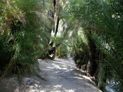 Villa Villa in Loutra with Pool near Rethymno - Environment photo 32