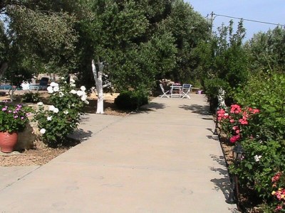 Holiday house Villa auf Kreta nahe Strand und Olivenhainen - Outdoor photo 7