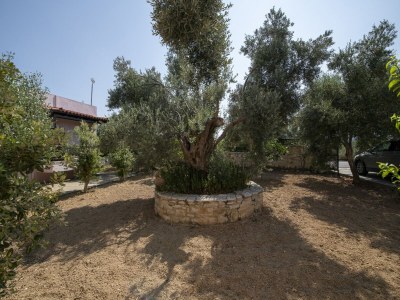 Holiday house Villa auf Kreta nahe Strand und Olivenhainen - Outdoor photo 16