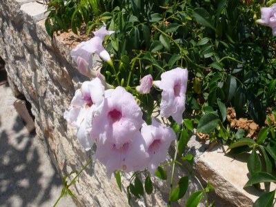 Villa Villa in Loutra with Sea View and Pool - Outdoor photo 9