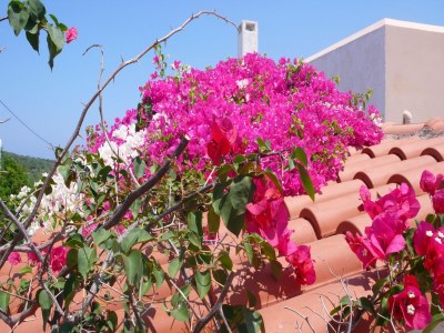 Villa Villa in Loutra with Sea View and Pool - Outdoor photo 10