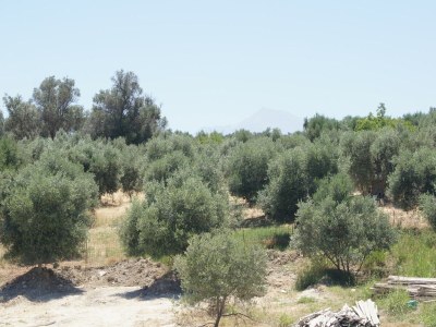 Villa Villa in Loutra with Sea View and Pool - Outdoor photo 13