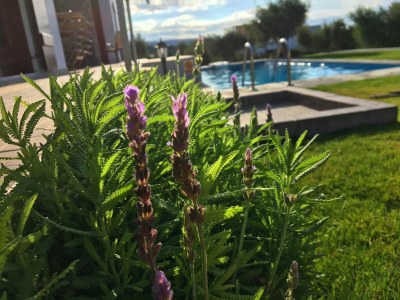 Villa Villa in Arkadi mit Pool nahe am Meer - Outdoor photo 8