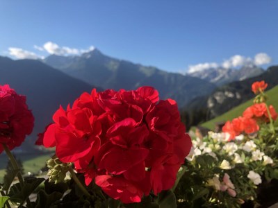 Holiday house Johanna im Zillertal - Outdoor photo 6