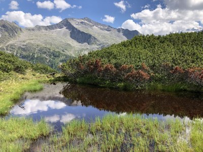 Holiday house Johanna im Zillertal - Environment photo 29