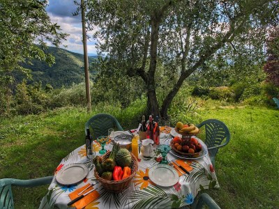 Farmhouse Luxuriöses Bauernhaus in Rufina mit Terrasse - Outdoor photo 13