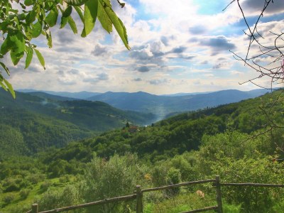 Holiday house Gemütliches Ferienhaus in Rufina mit Swimmingpool - Outdoor photo 12