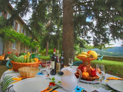 Farmhouse Geräumiges Bauernhaus in Rufina mit eigenem Pool - Outdoor photo 3